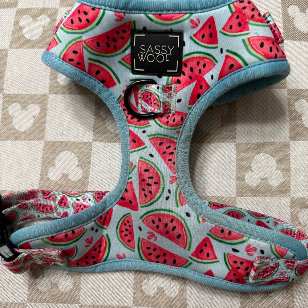 Sassy Woof Watermelon Dog Harness - Blue and Red